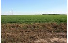 Property photo 102 - LAND AUCTION, 3255+/- Acres offered in 13 Tracts